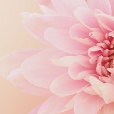 CuraEnergiaFeminina_1